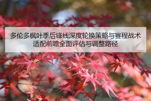 多伦多枫叶季后锋线深度轮换策略与赛程战术适配前瞻全面评估与调整路径